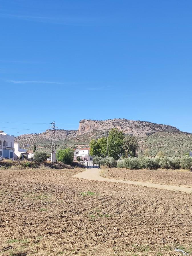 Alojamiento Rural Huerta Mandre Cuevas del Becerro 外观 照片