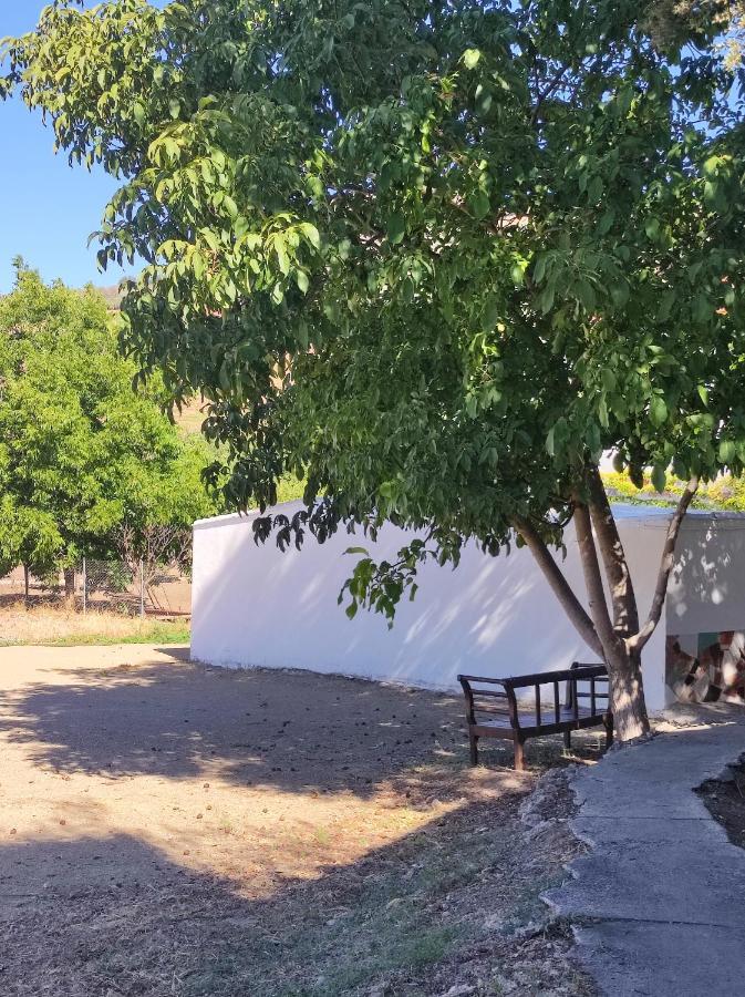 Alojamiento Rural Huerta Mandre Cuevas del Becerro 外观 照片