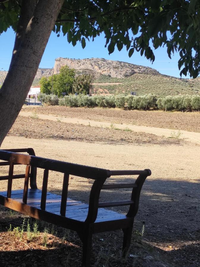 Alojamiento Rural Huerta Mandre Cuevas del Becerro 外观 照片